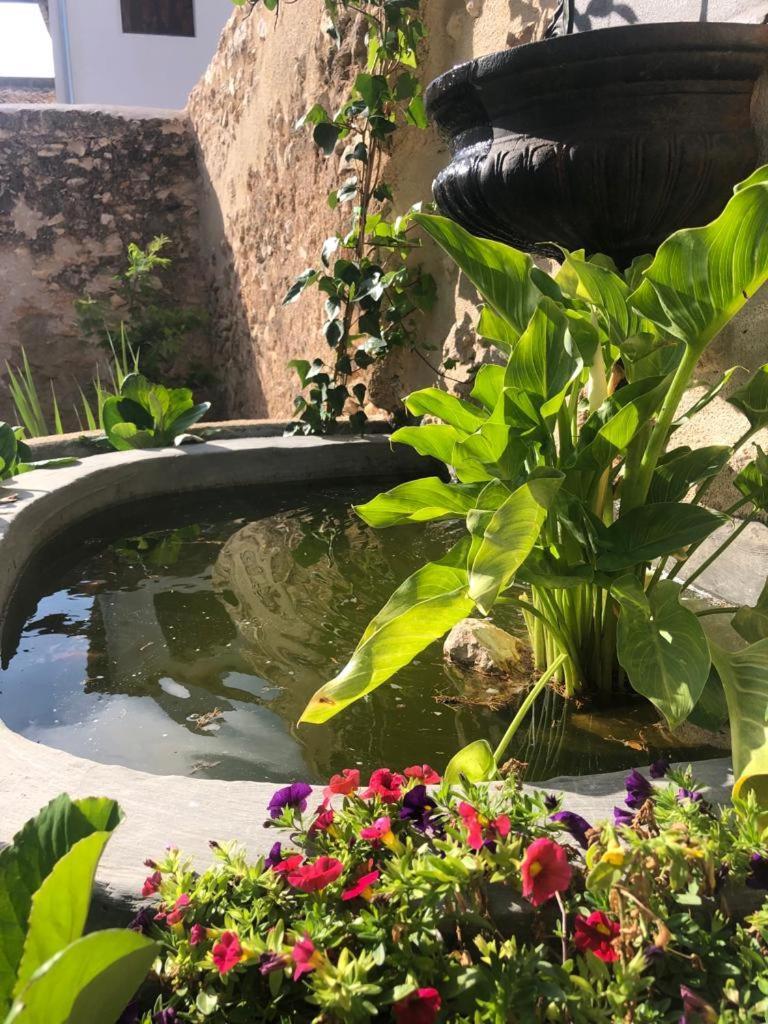 Ca Margalef - Casa Rural Con Encanto Ginestar Kültér fotó